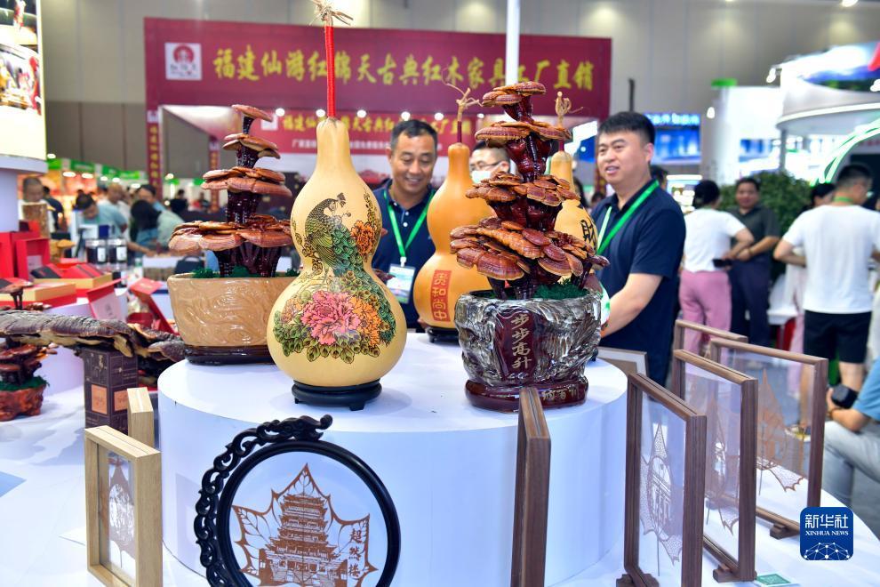手机版龙虎网